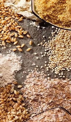 Livestock feed products animal nutrition non-GMO
